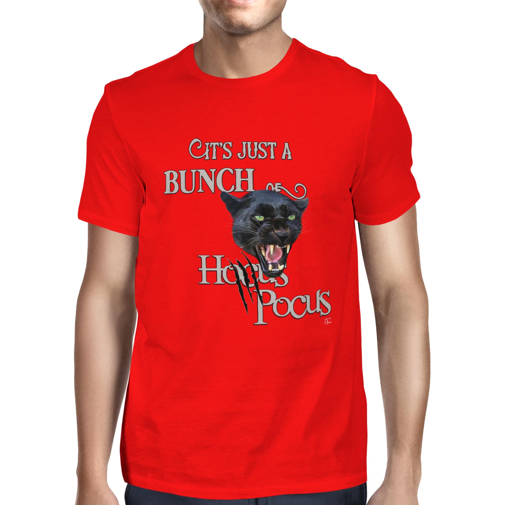 Camiseta 1Tee para hombre It's Just A Bunch of Hocus Pocus - Imagen 7 de 24