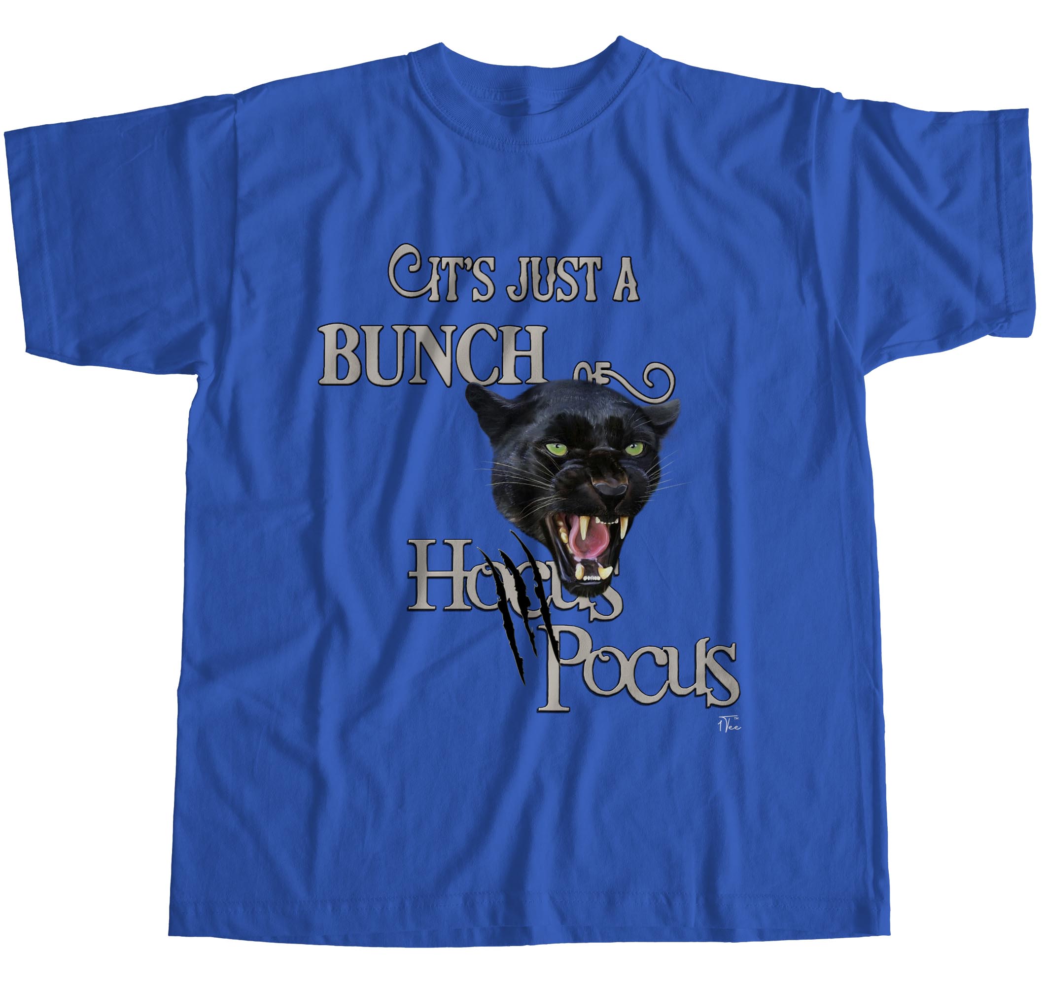 Camiseta 1Tee para hombre It's Just A Bunch of Hocus Pocus - Imagen 14 de 24