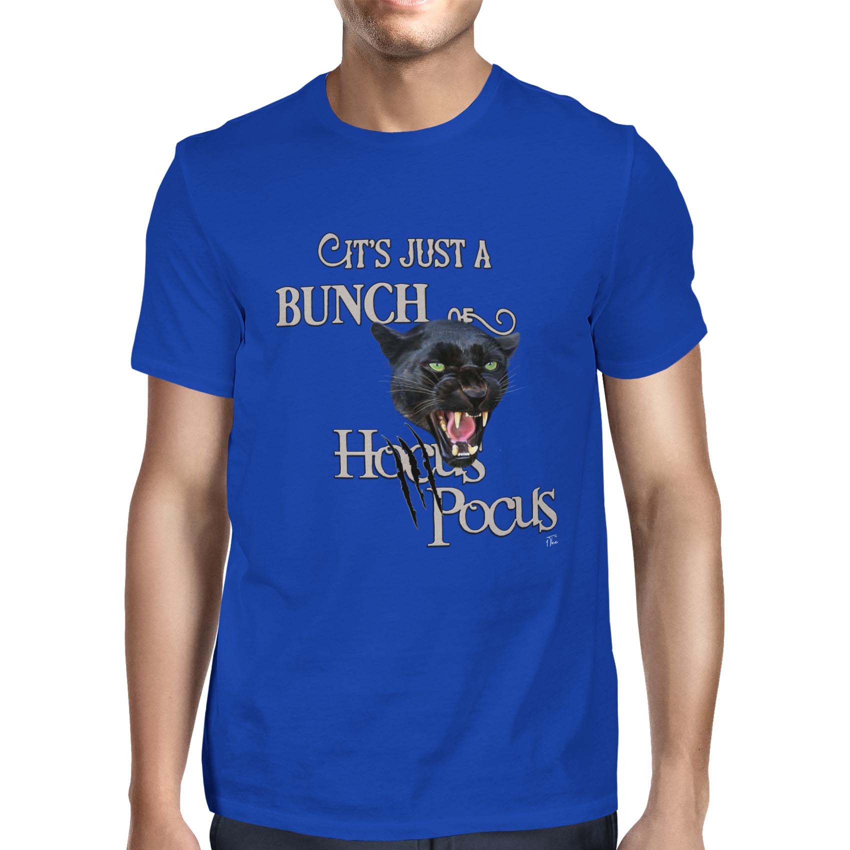 Camiseta 1Tee para hombre It's Just A Bunch of Hocus Pocus - Imagen 13 de 24