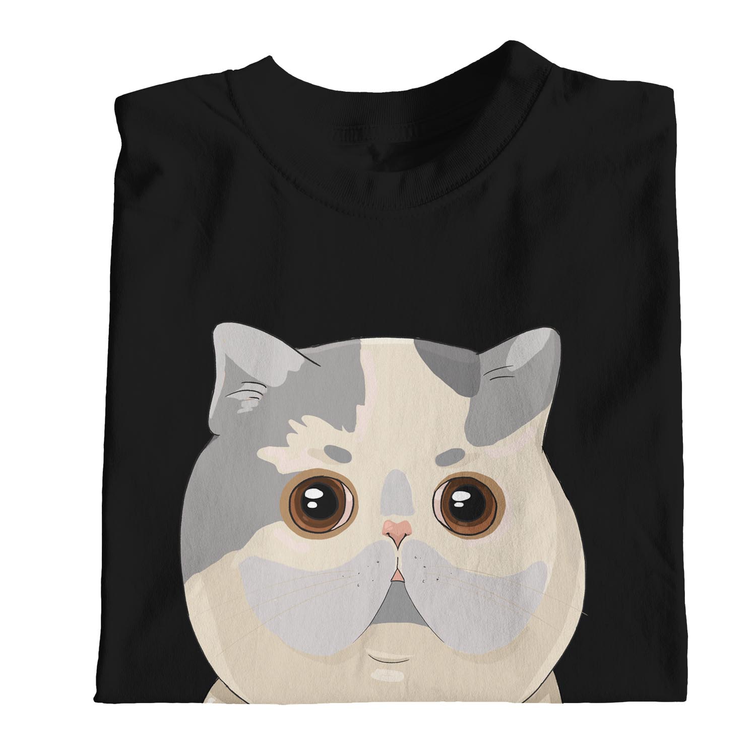 cat on pocket shirt