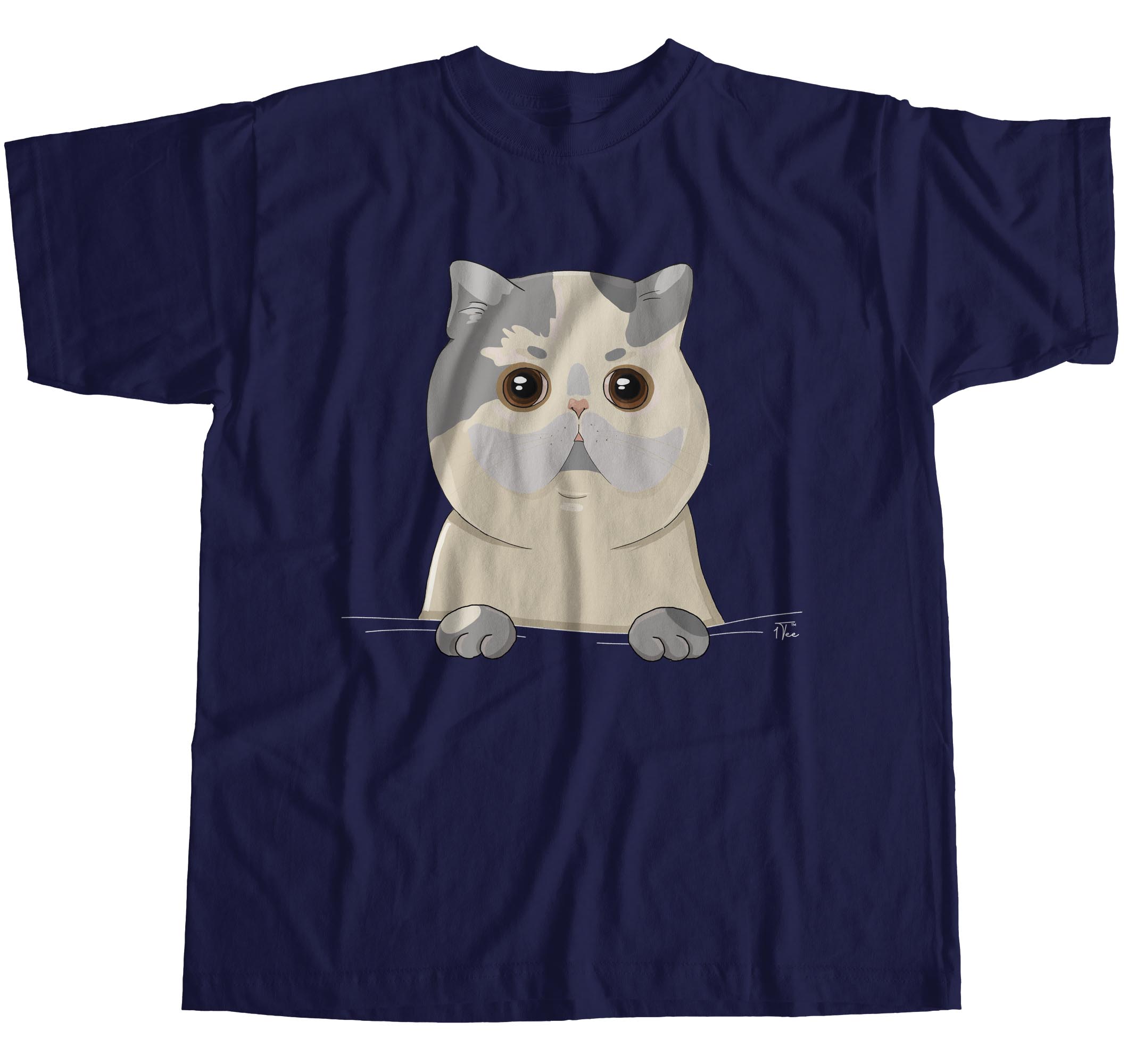 pocket cat t shirt