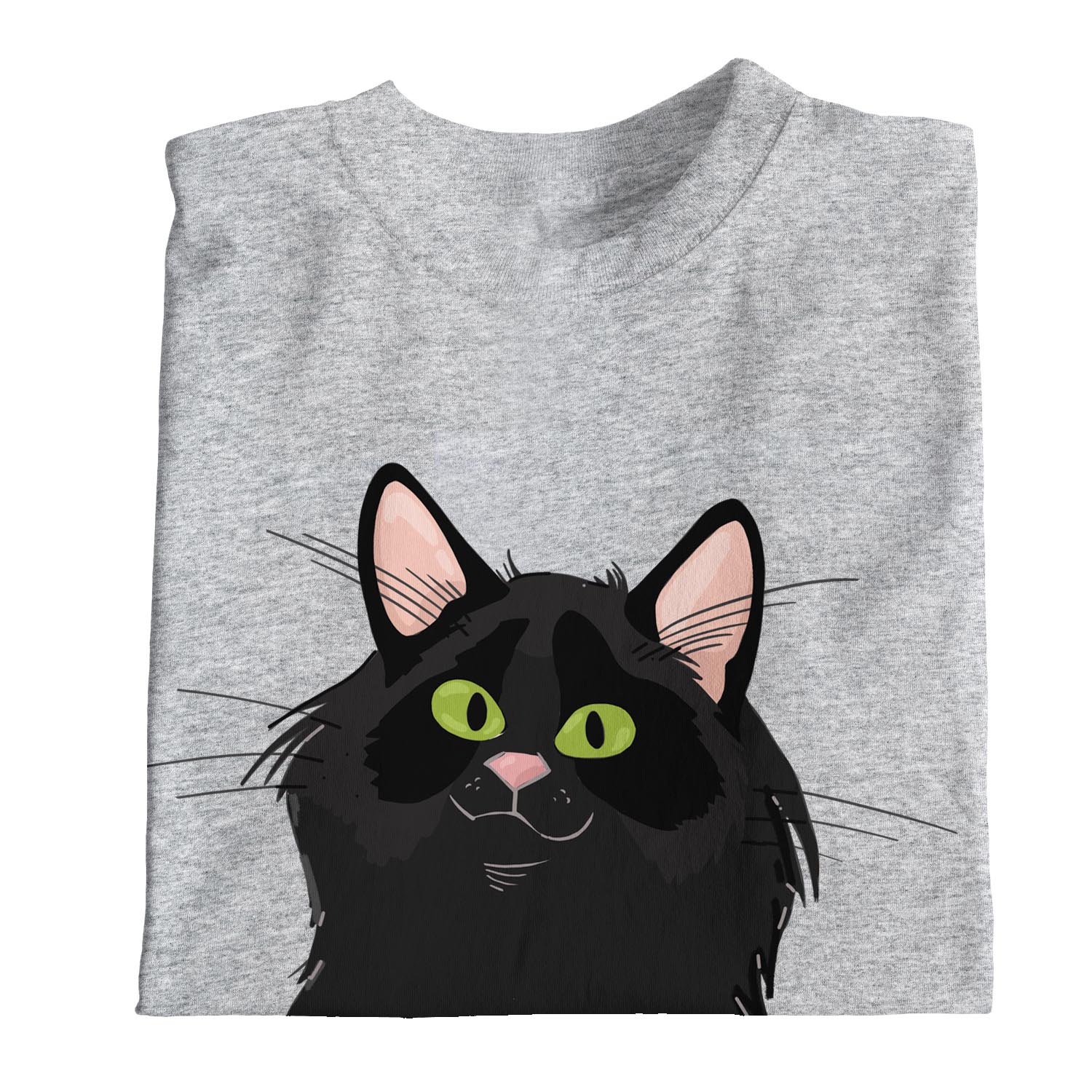 cat on pocket shirt