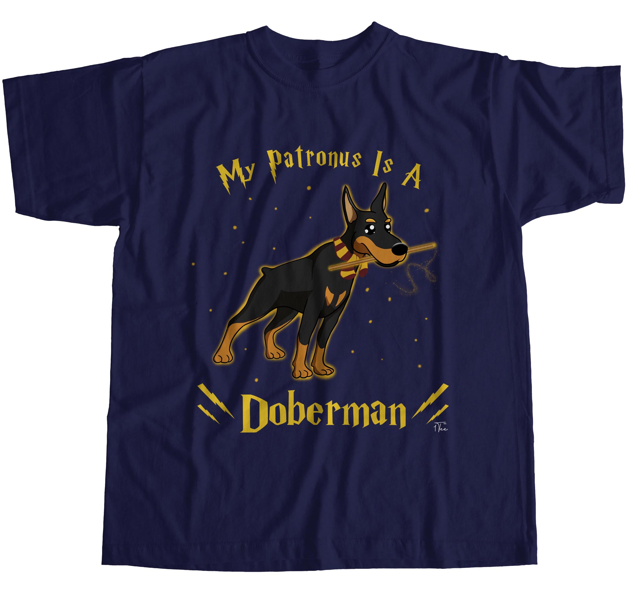 doberman in a shirt