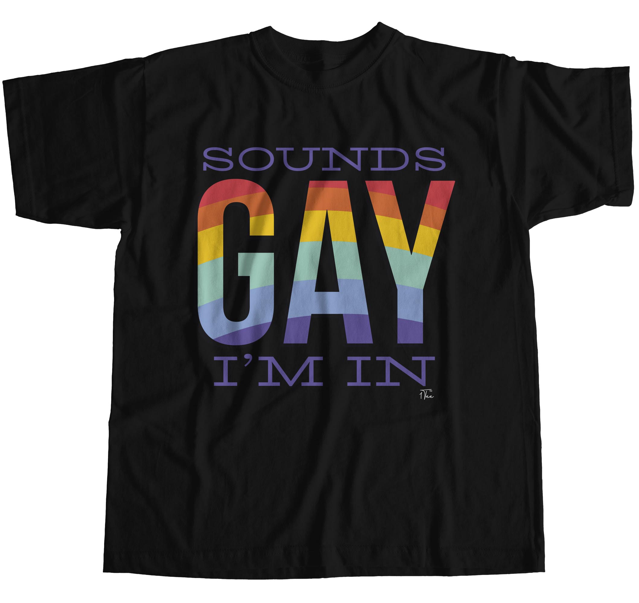 1Tee Mens Sounds Gay I'm In T-Shirt | eBay